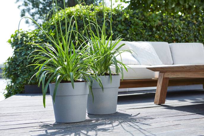 vibia straight round 25cm living concrete